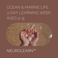 Ocean & Marine Life Learning Week (Ages 5–9)