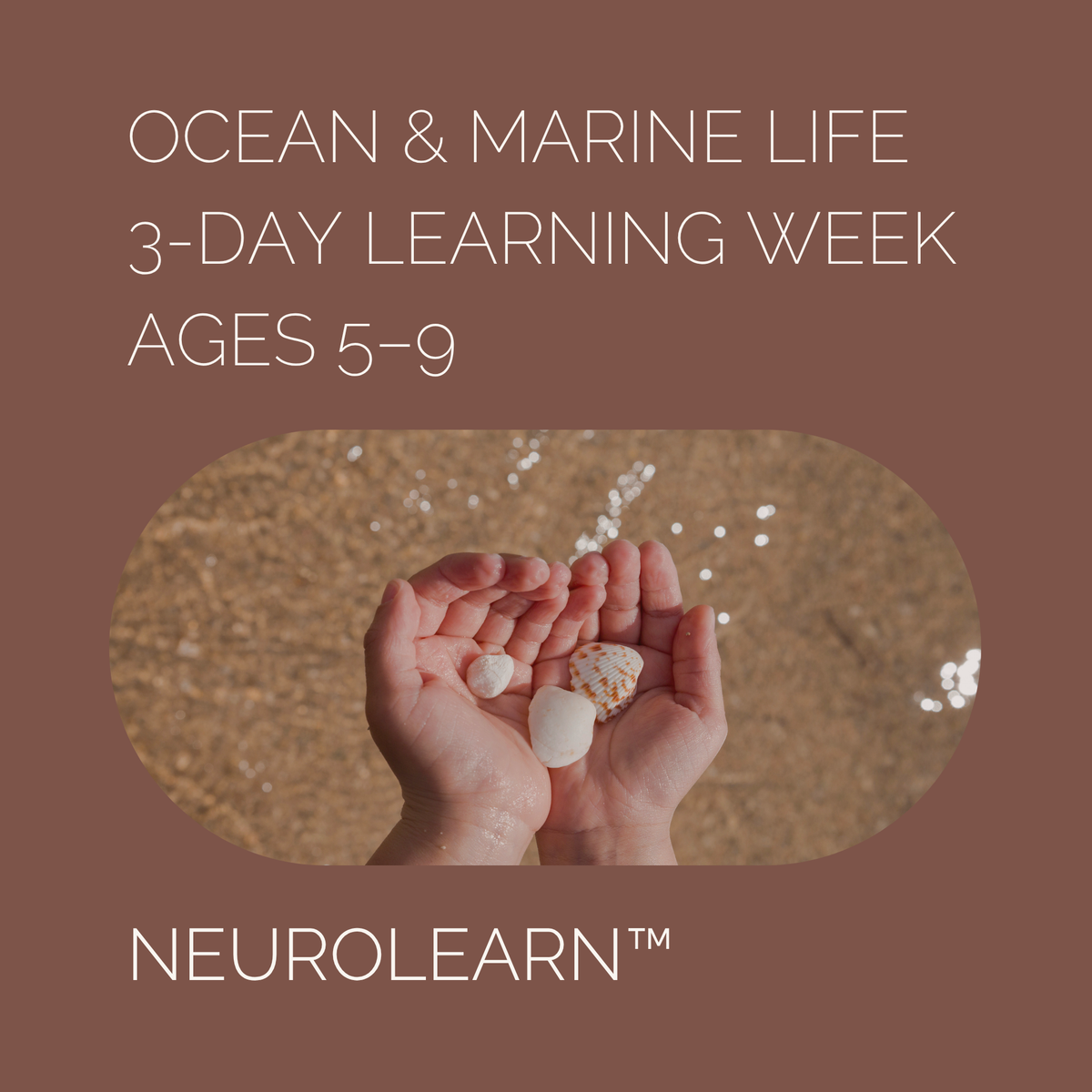 Ocean & Marine Life Learning Week (Ages 5–9)