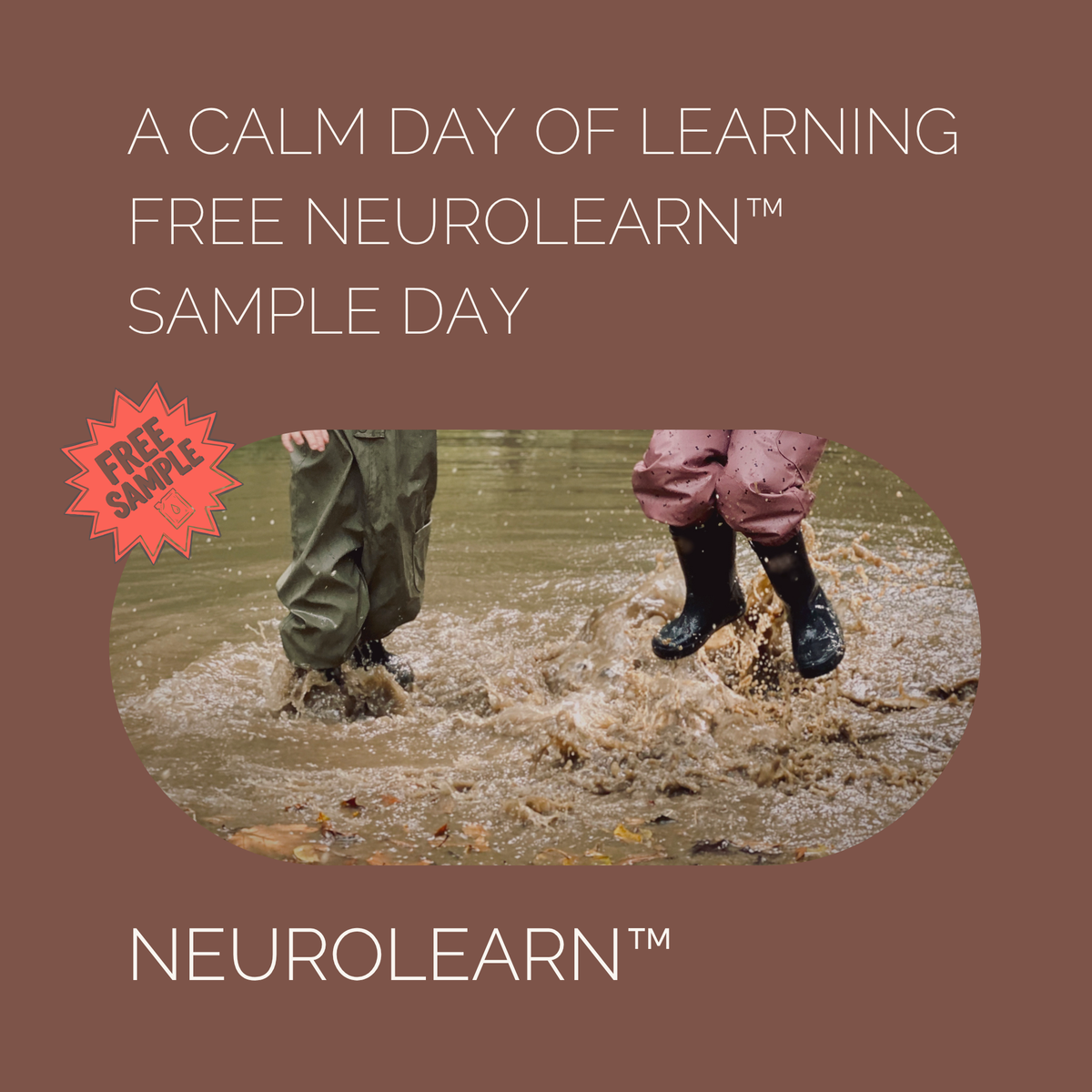 A Calm Day of Learning (Free NeuroLearn Sample Day)
